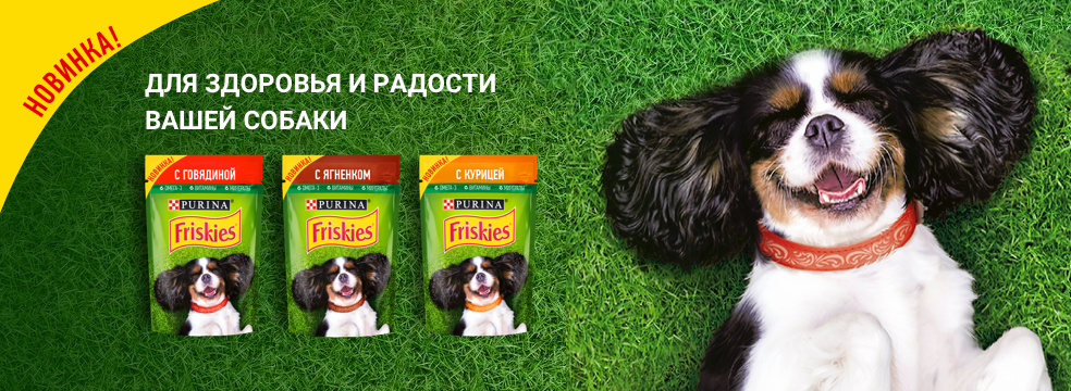 купить Корм для собак Фрискис в Калининграде