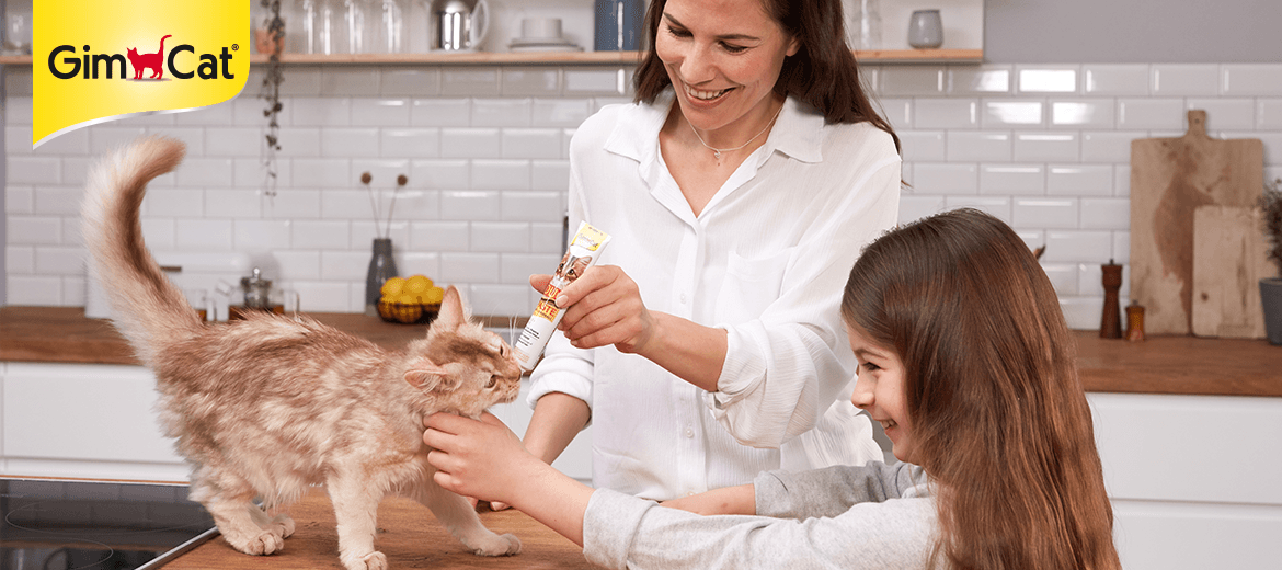 Купить в Калининграде GimCat Expert Line Kitten Paste витамины для котят
