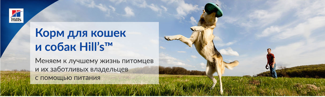 купить корм хиллс метаболик для кошек с бесплатной доставкой в Калининграде