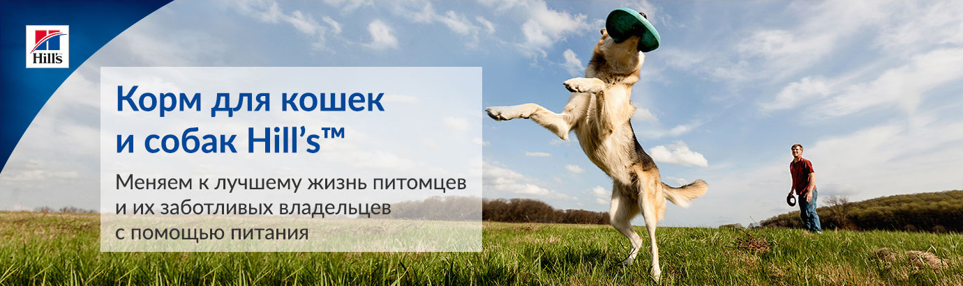 купить Консервы для кошек Hill's i/d с курицей с бесплатной доставкой в Калининграде