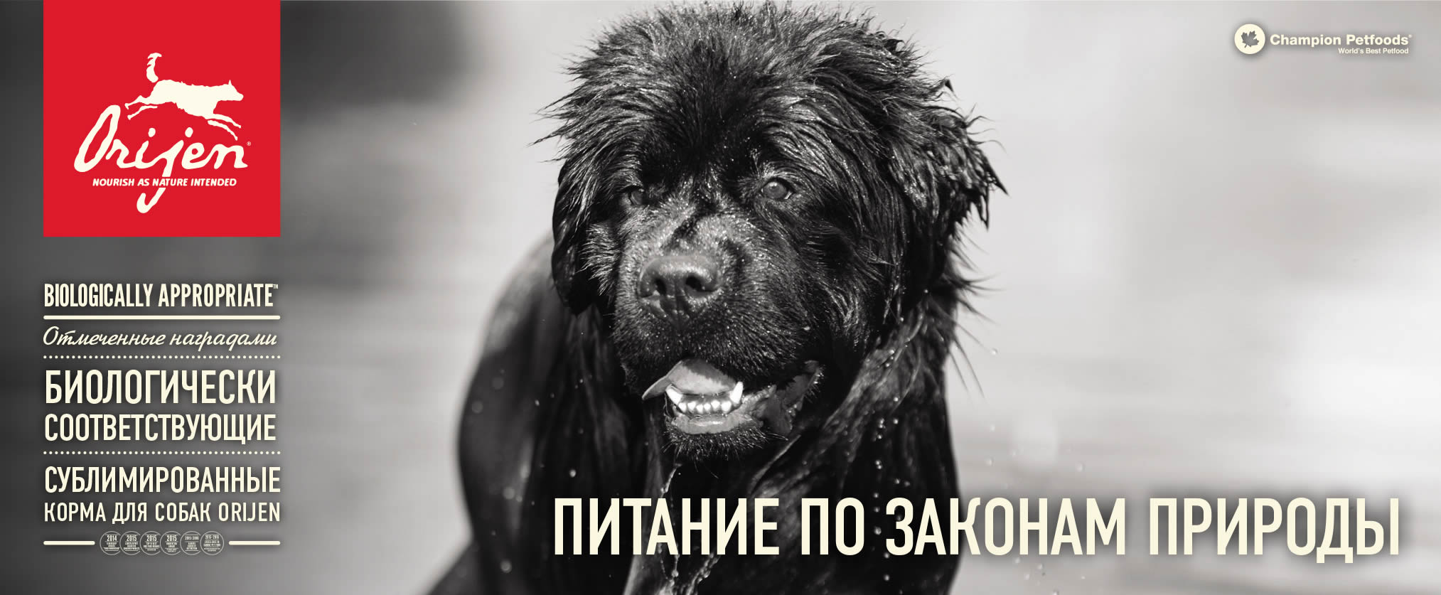 Сухой корм Ориджен для собак с доставкой в Калининграде