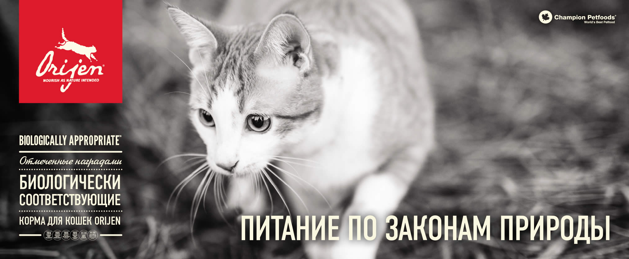 Беззерновой корм Orijen Fit & Trim Cat корм для взрослых кошек купить в Калининграде