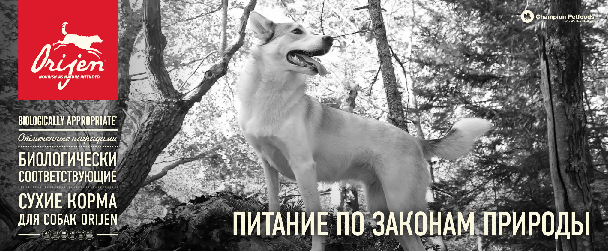 корм для собак Orijen купить в Калинниграде