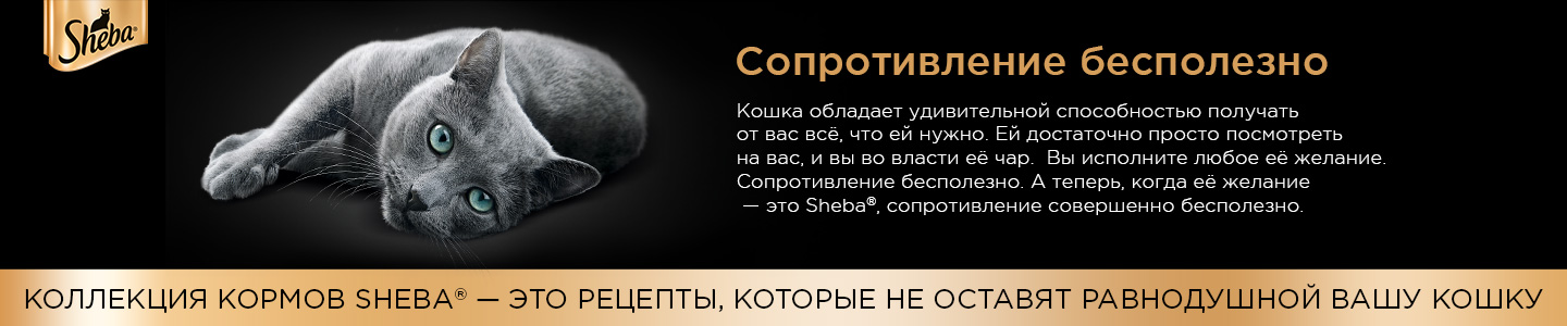 купить консервы для кошек Sheba в Калининграде