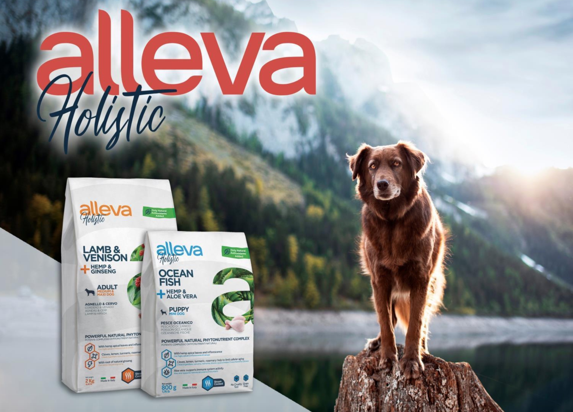 купить Сухой корм Alleva Holistic для собак (Италия) с бесплатной доставкой в Калининграде