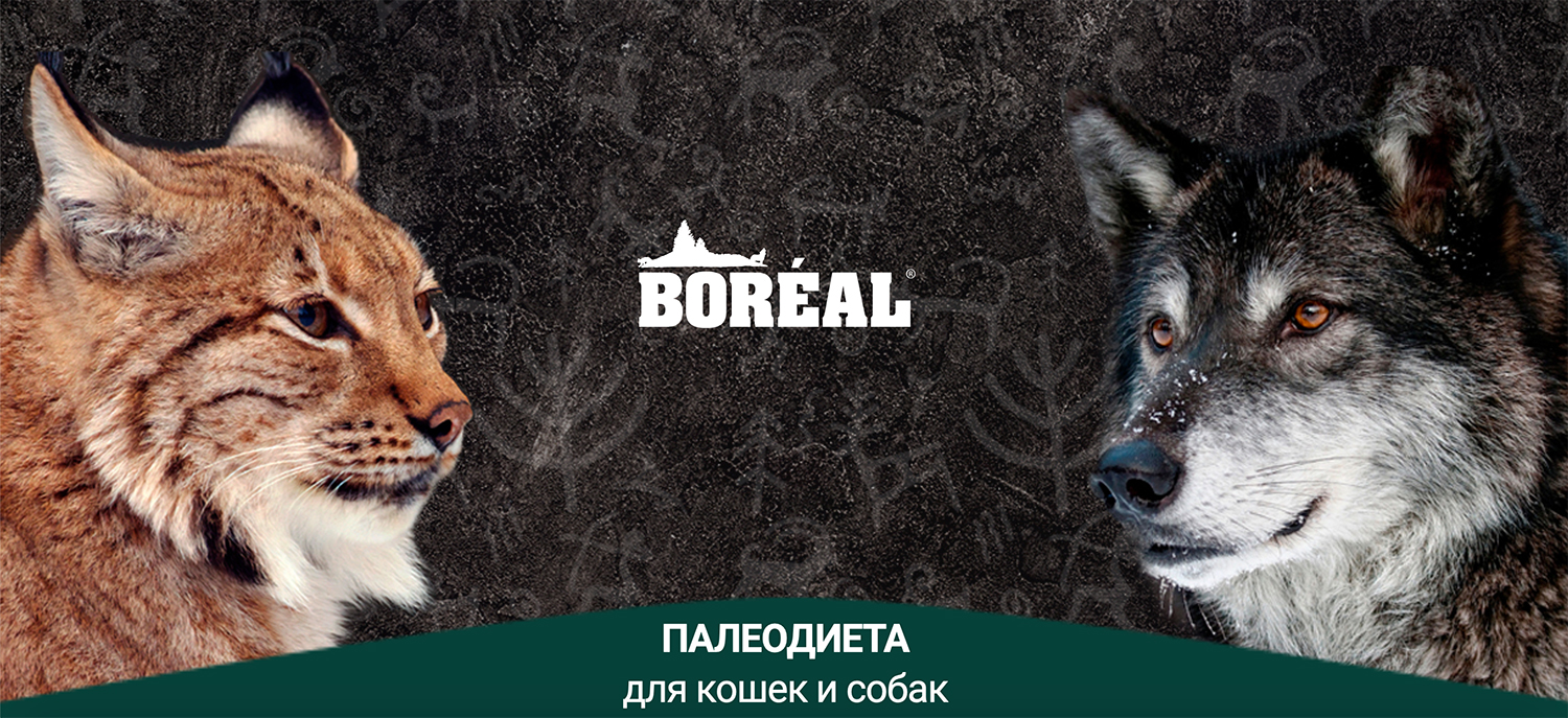купить Корма бренда Boreal с бесплатной доставкой в Калининграде