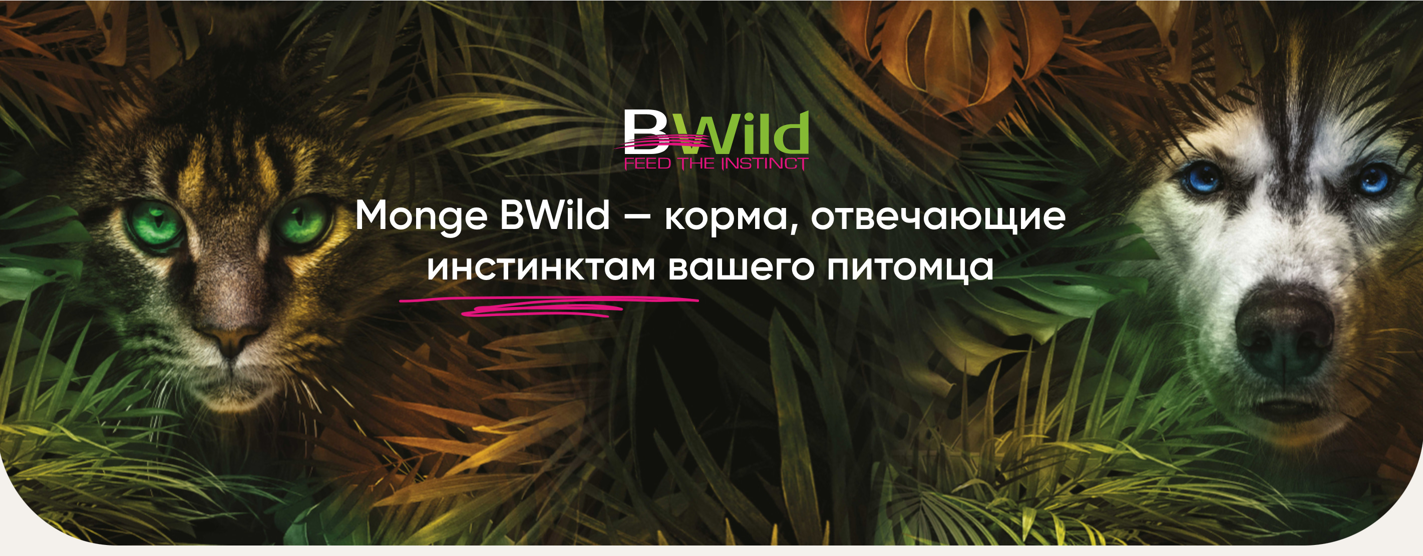 купить низкозерновой и беззерновой холистик корм Monge BWild с бесплатной доставкой в Калининграде