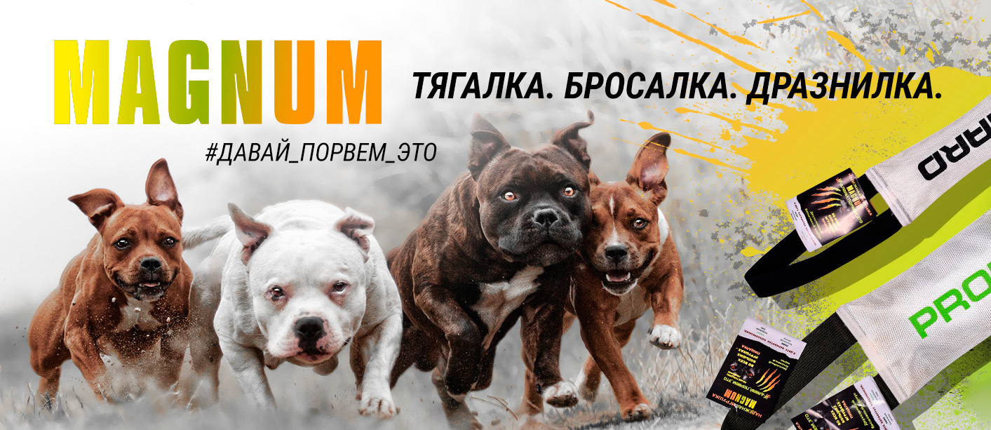 купить Игрушку для собак MAGNUM с бесплатной доставкой в Калининграде