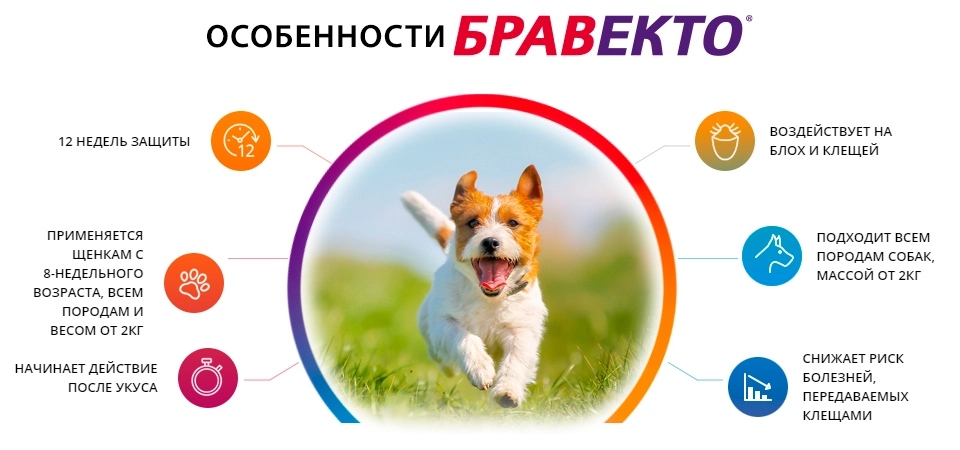 купить БРАВЕКТО от блох и клещей у собак с бесплатной доставкой в Калининграде