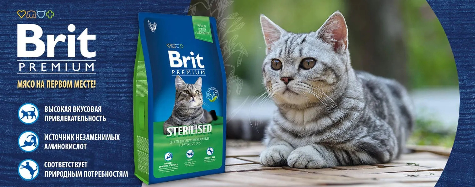 купить сухой корм Brit для кошек с бесплатной доставкой в Калининграде