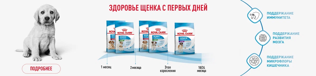 купить Royal Canin с бесплатной доставкой в Калининграде