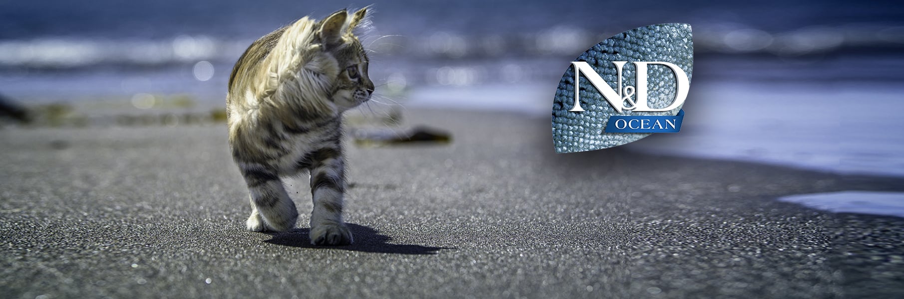 купить консервы супер-премиум класса для кошек Farmina N&D Ocean feline с рыбой с бесплатной доставкой в Калининграде