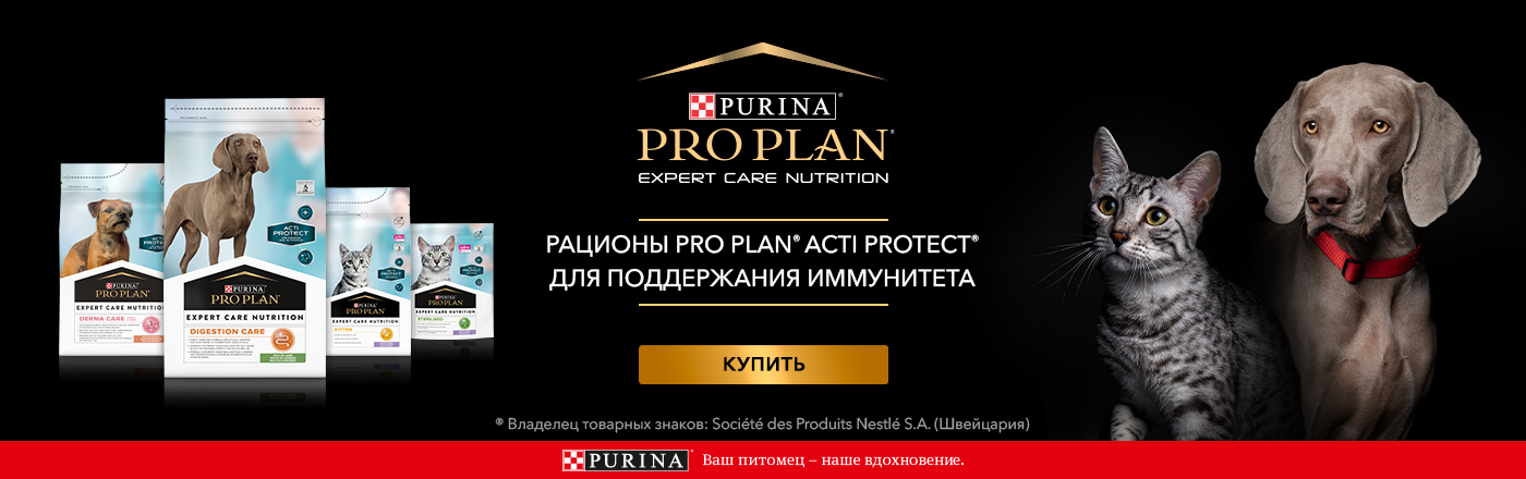 купить PRO PLAN ACTI-PROTECT для собак и кошек с бесплатной доставкой в Калининграде