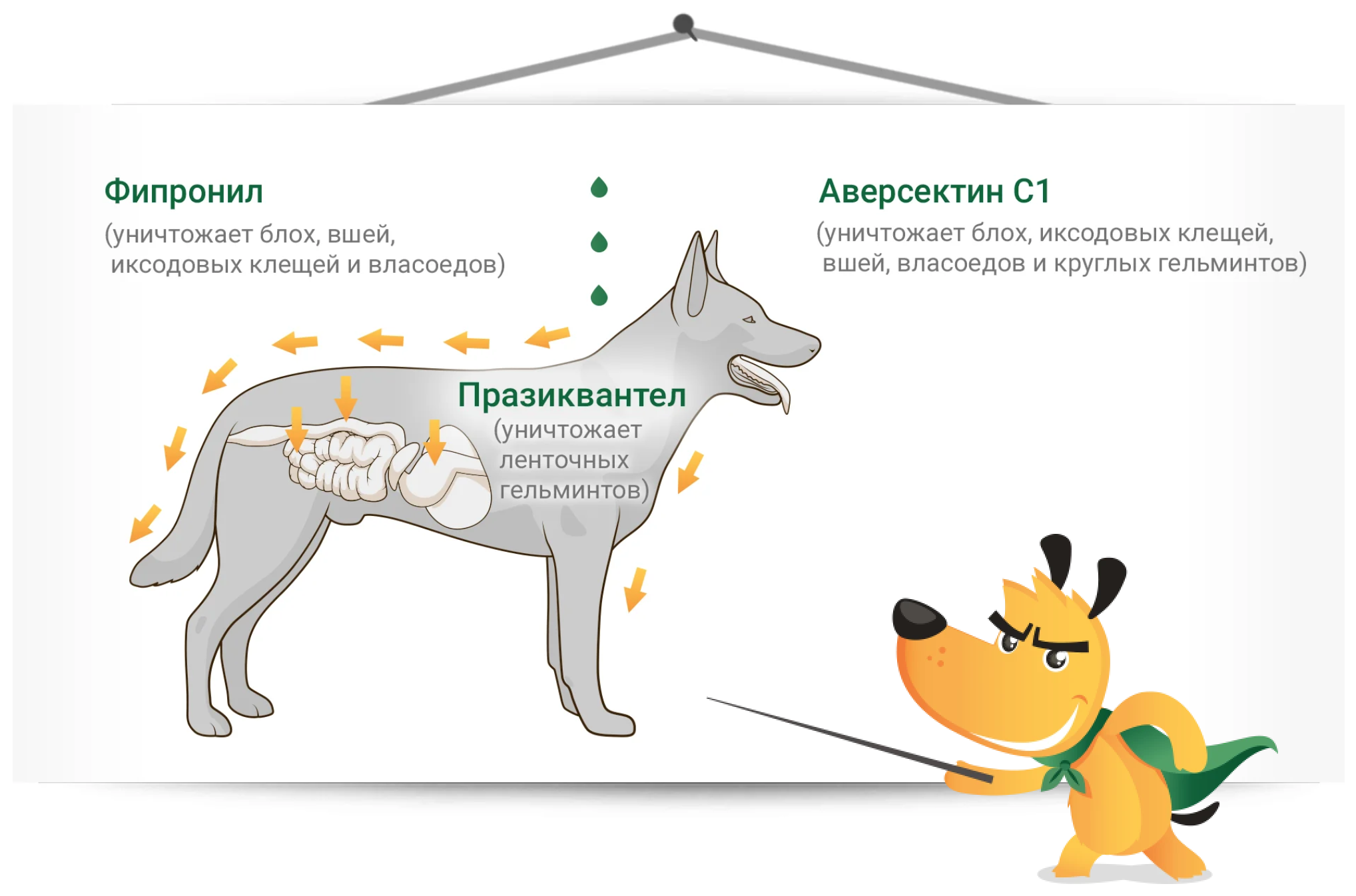 купить Антипаразитарные средства для собак IN-UP complex с бесплатной доставкой в Калининграде