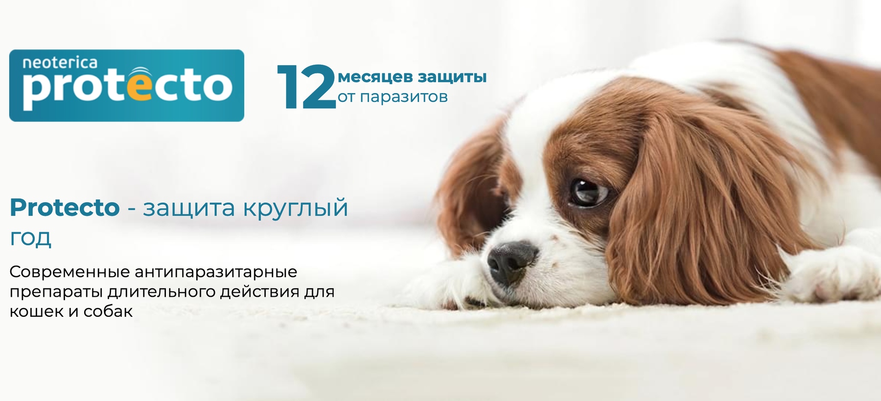 купить Средства Protecto для собак с бесплатной доставкой в Калининграде