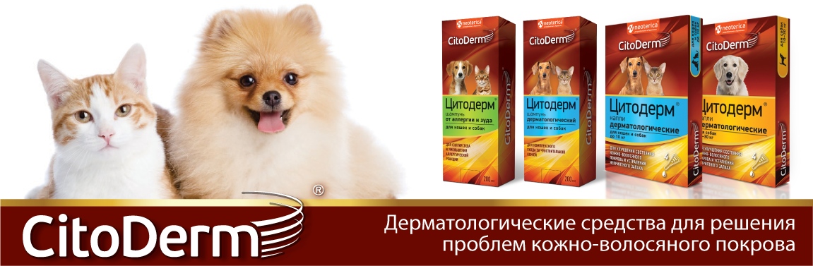 дерматологические средства для собак и кошек Цитодерм в Калининграде