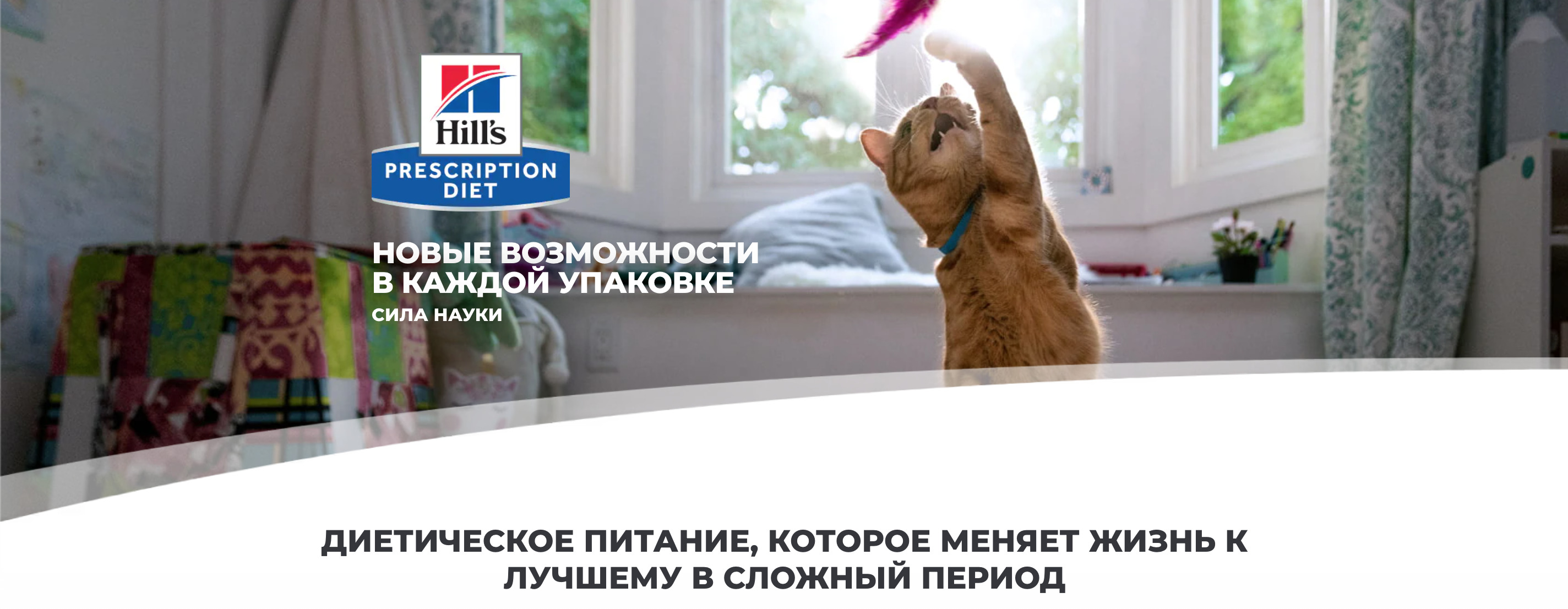 купить Влажные диетические корма для кошек Hill's Prescription Diet с бесплатной доставкой в Калининграде