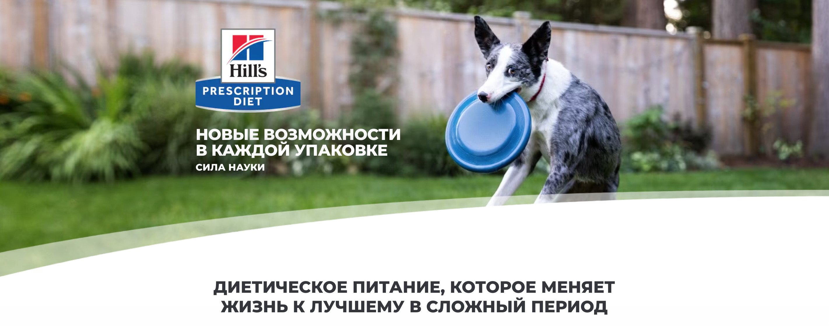 купить Сухие диетические корма для собак Hill's Prescription Diet с бесплатной доставкой в Калининграде