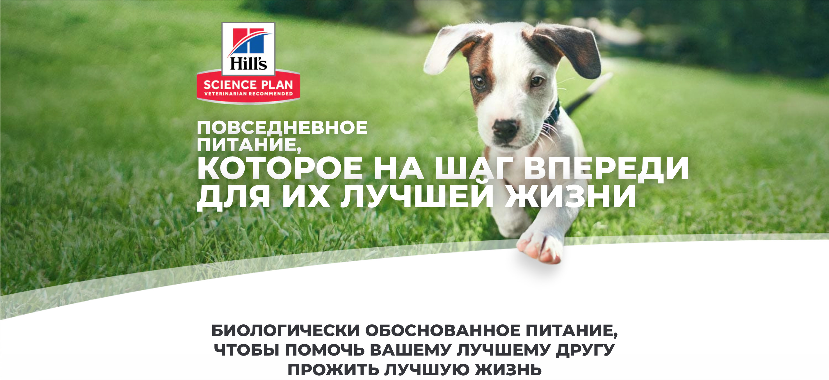 купить Сухие корма для собак Hill's Science Plan с бесплатной доставкой в Калининграде