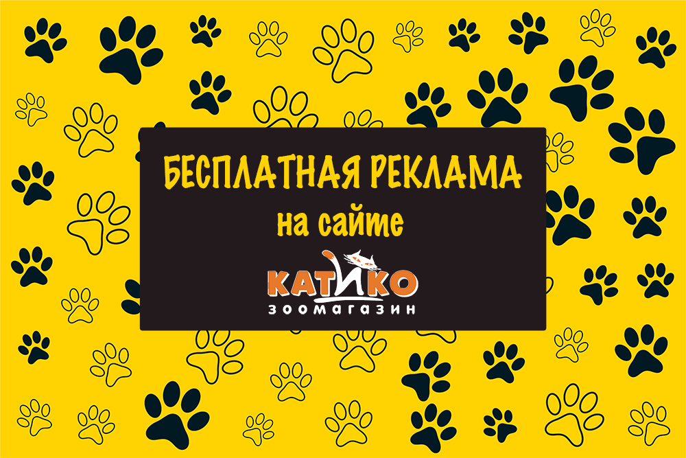 бесплатно рекламируем услуги профессионалов связанных с животными в Калининграде