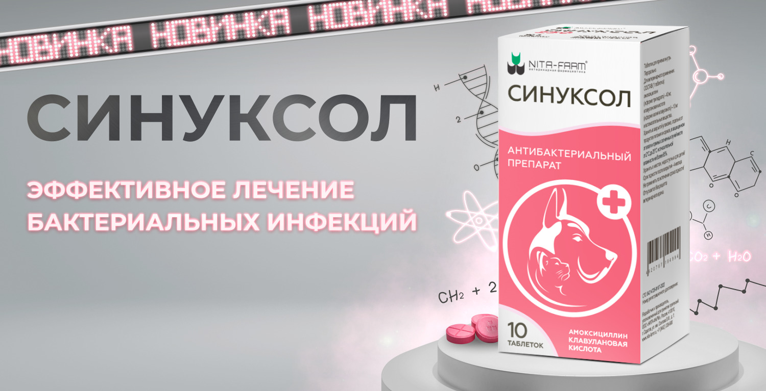безопасный и эффективный антибиотик для кошек и собак СИНУКСОЛ в Калининграде