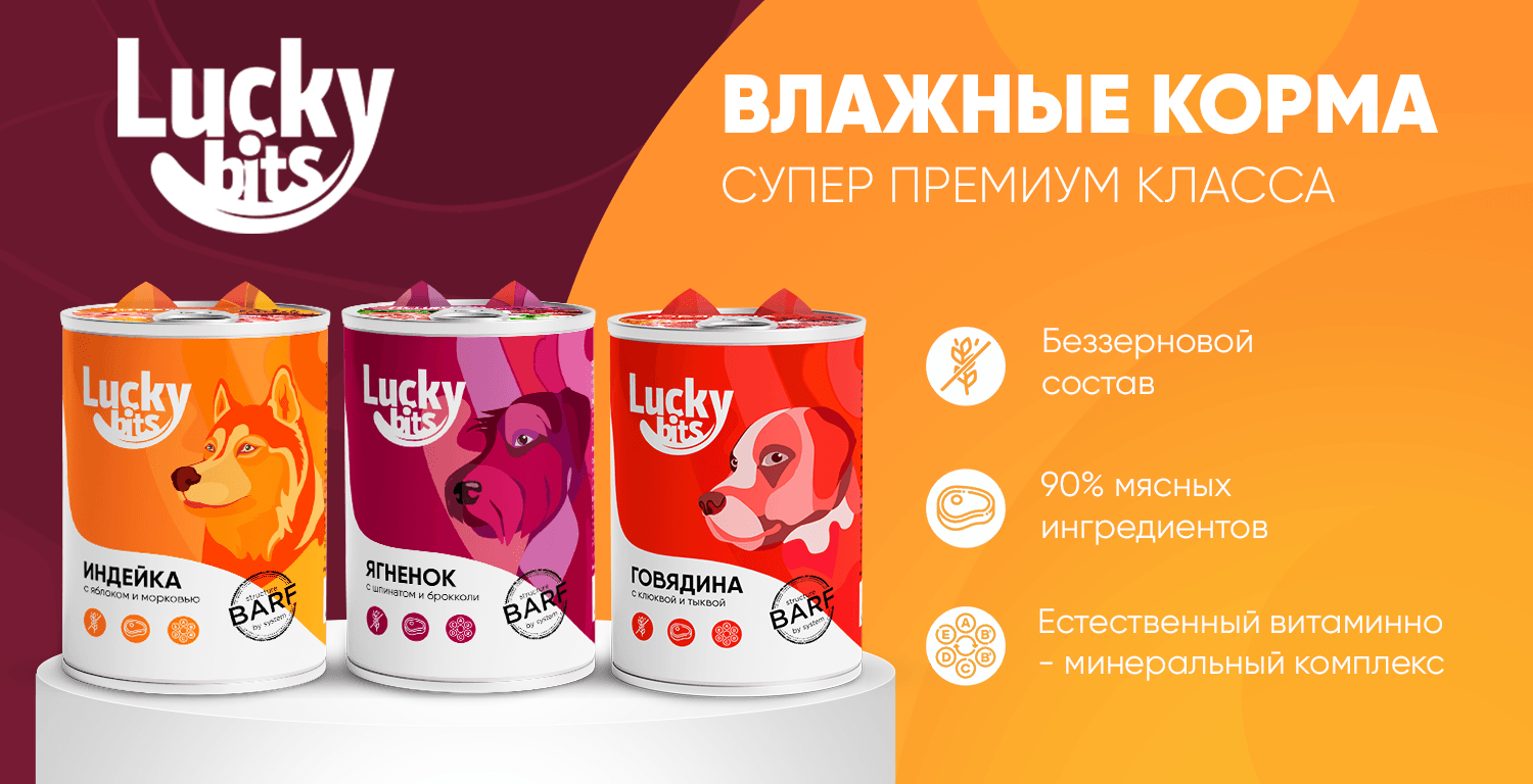 купить Влажные корма Lucky bits для собак с бесплатной доставкой в Калининграде