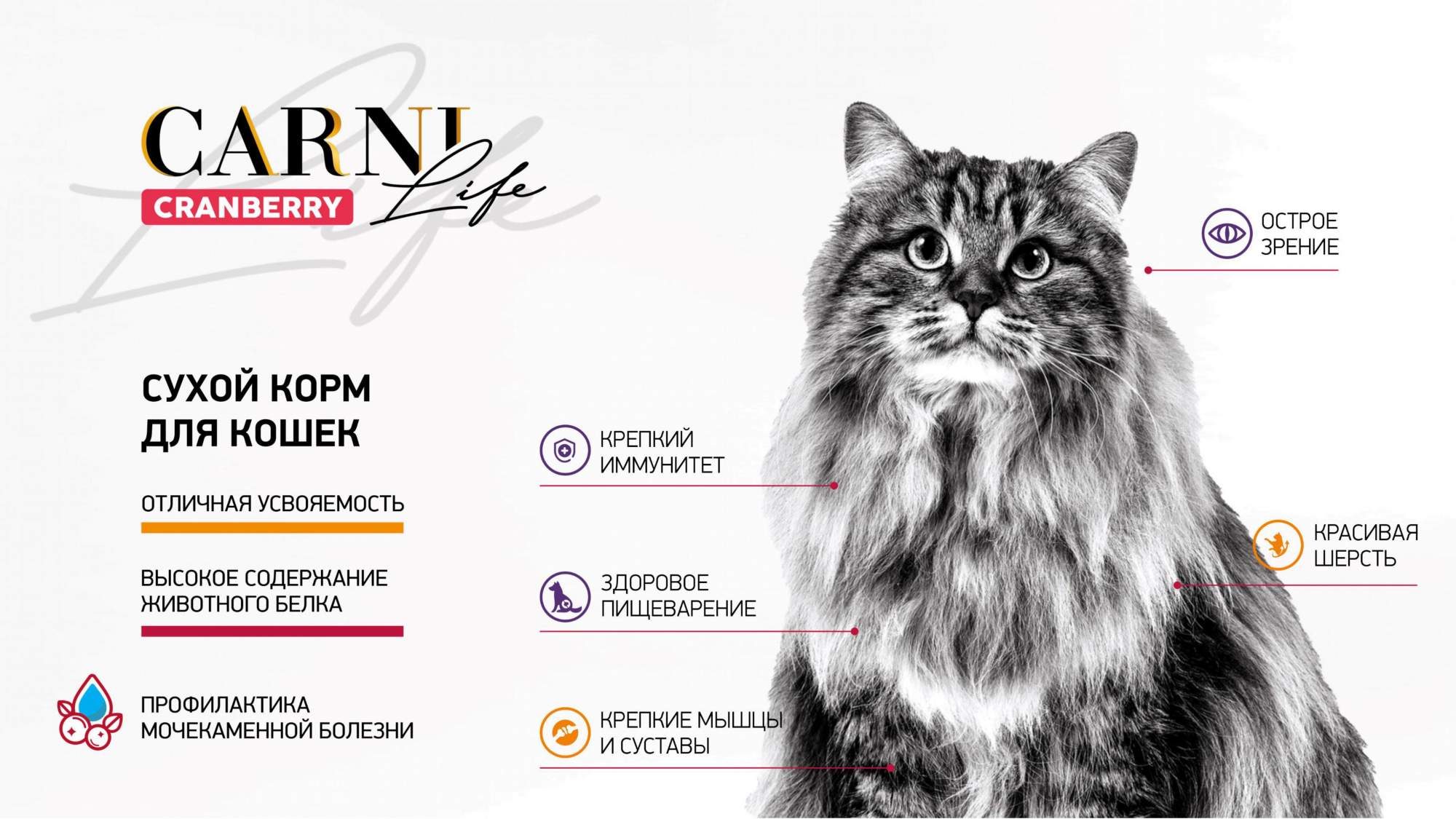 турецкие корма Carni Life для котов