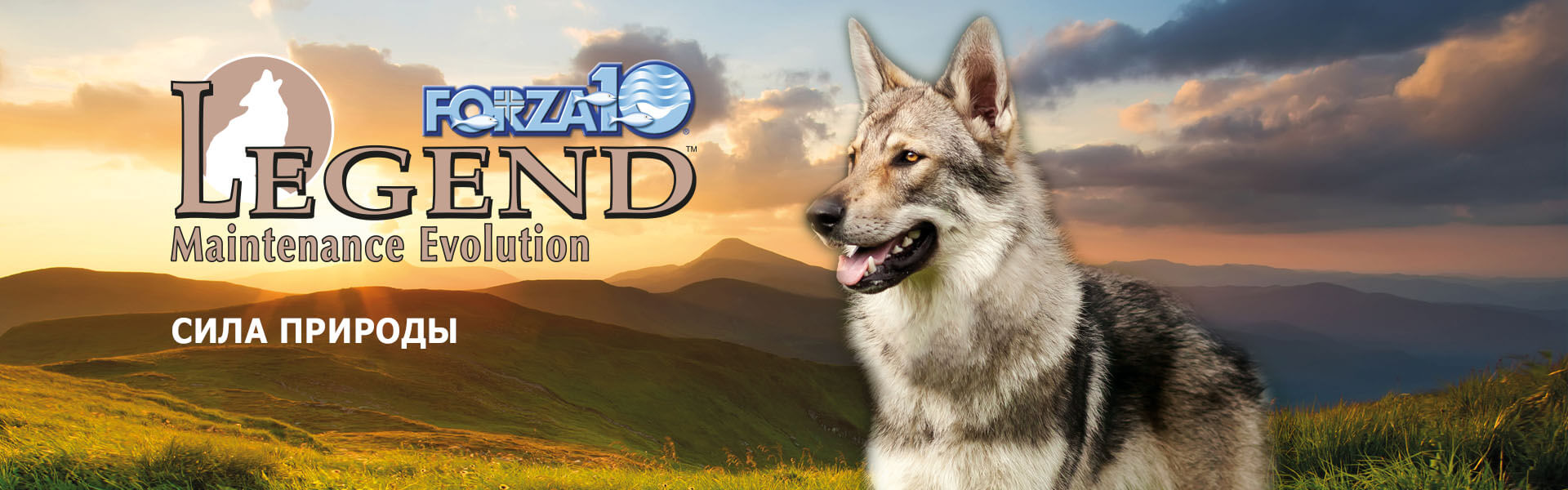Линия беззерновых кормов для собак Forza10 LEGEND
