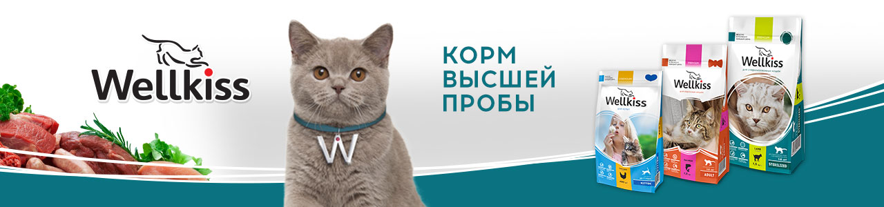 купить корм для кота Wellkiss с бесплатной доставкой в Калининграде