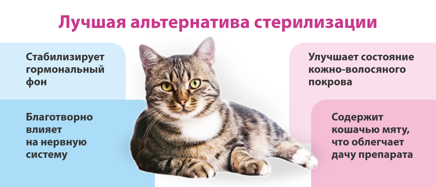 Жанилон Микро таблетки для котов