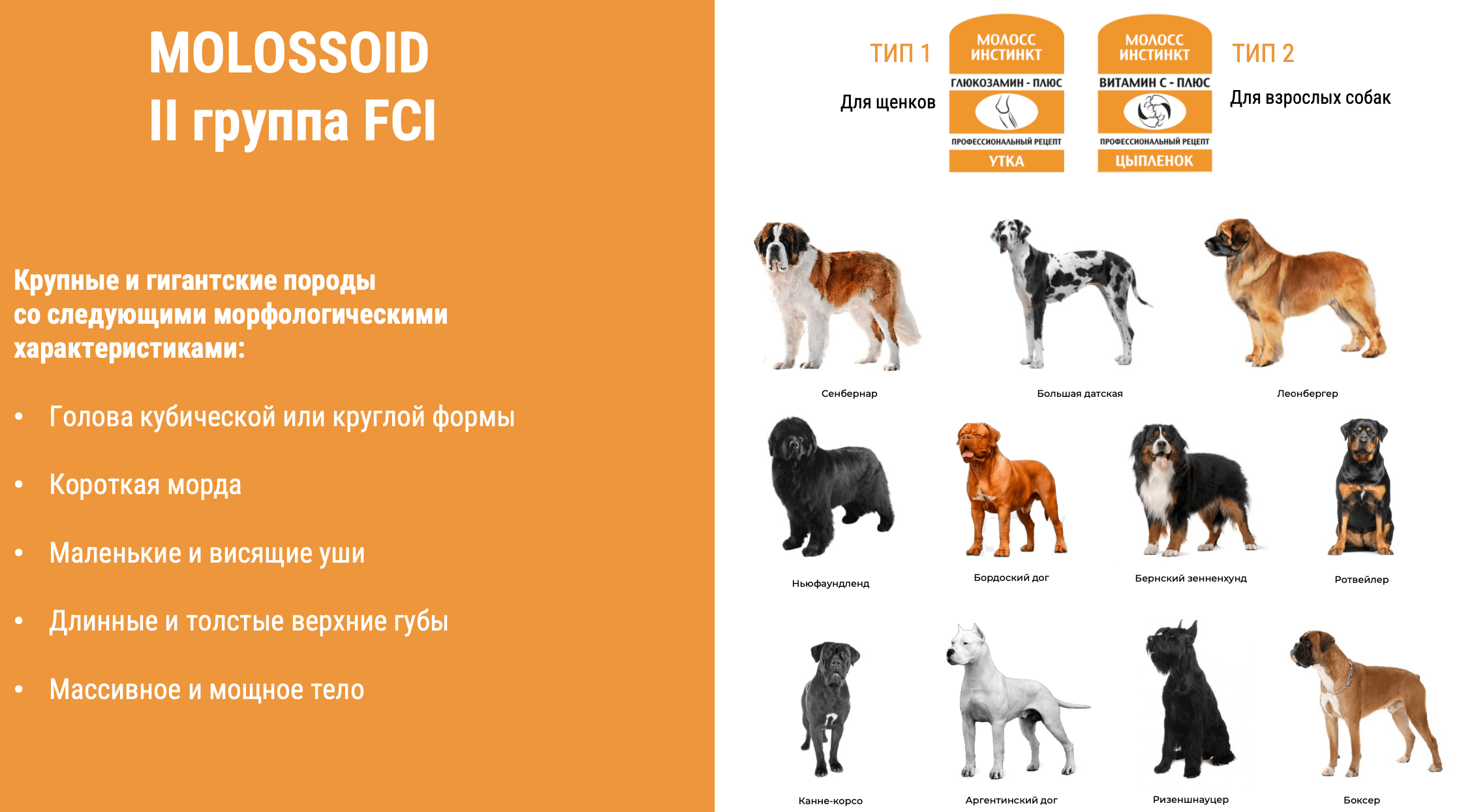 купить бридерские корма для собак в Калининграде