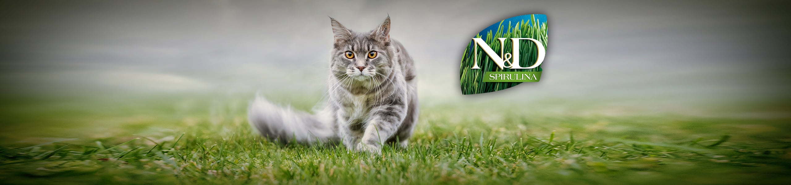 купить Сухие корма для кошек Farmina N&D Spirulina Feline беззерновой со спирулиной с бесплатной доставкой в Калининграде