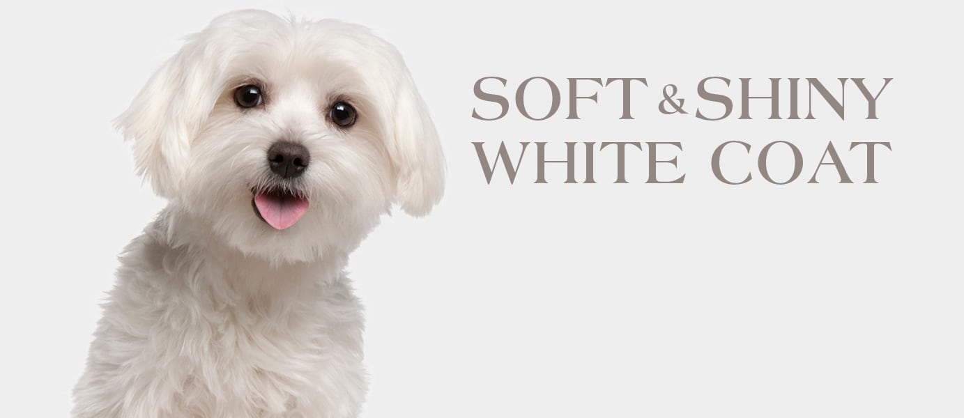 купить Сухие корма для собак Farmina N&D White Canine беззерновой с бесплатной доставкой в Калининграде