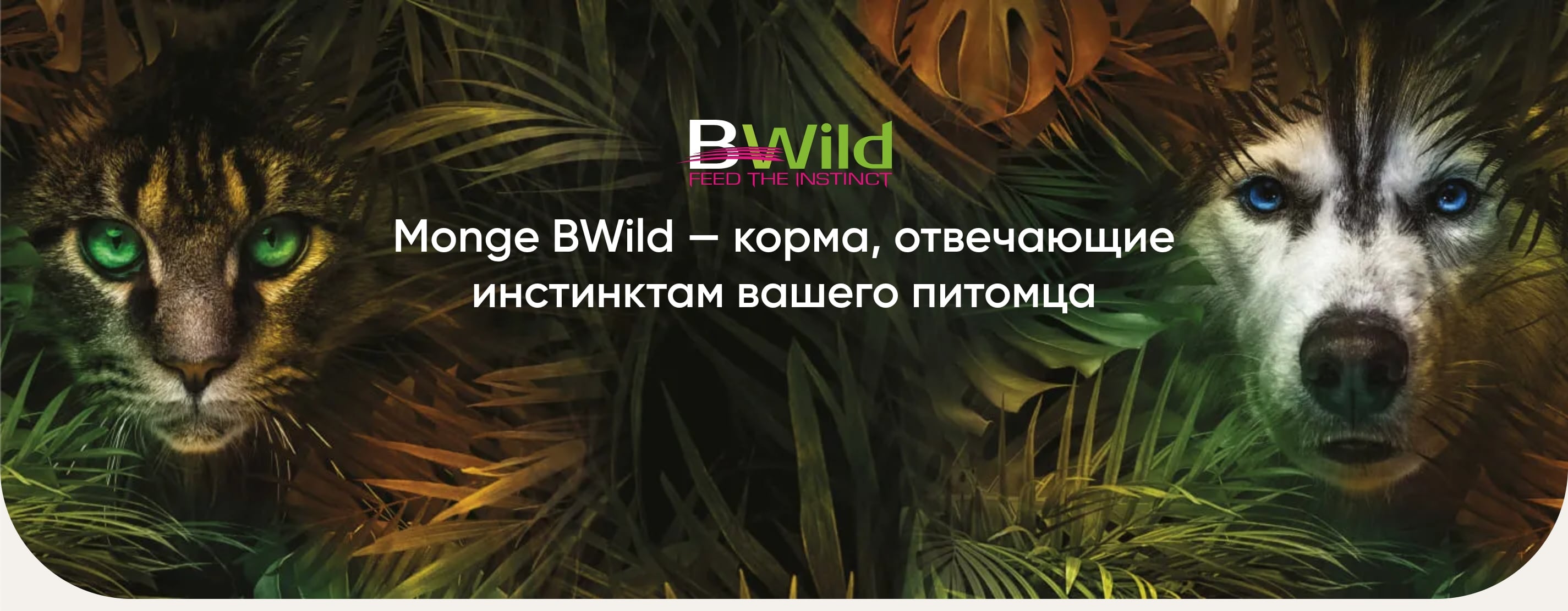 купить холистик корм Monge BWild с бесплатной доставкой в Калининграде