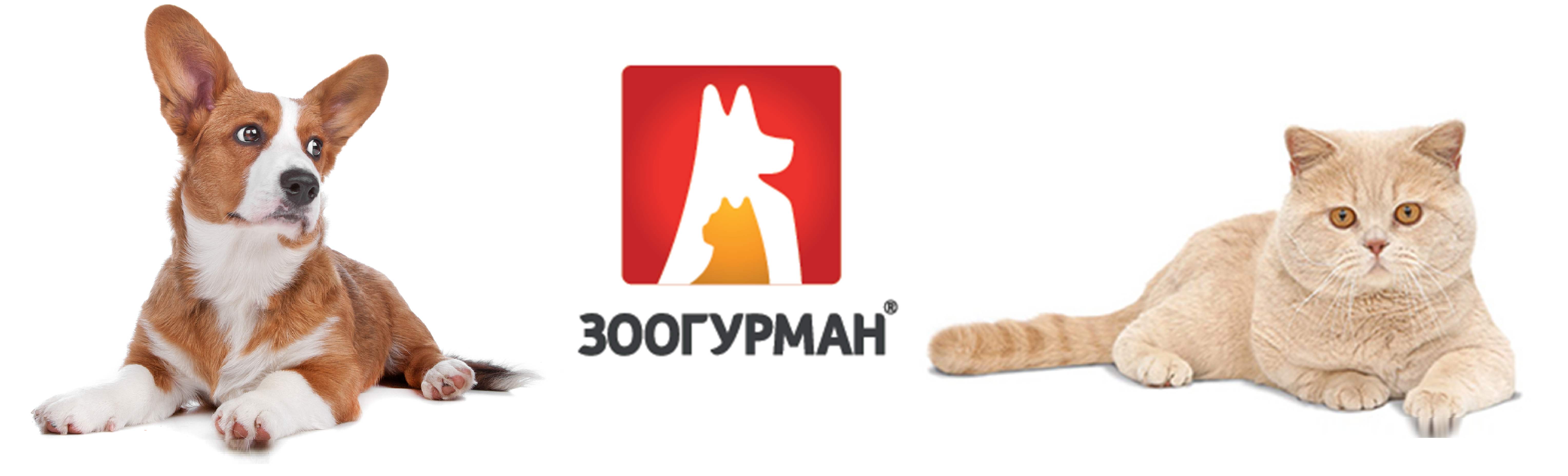 Магазин Катико Калининград