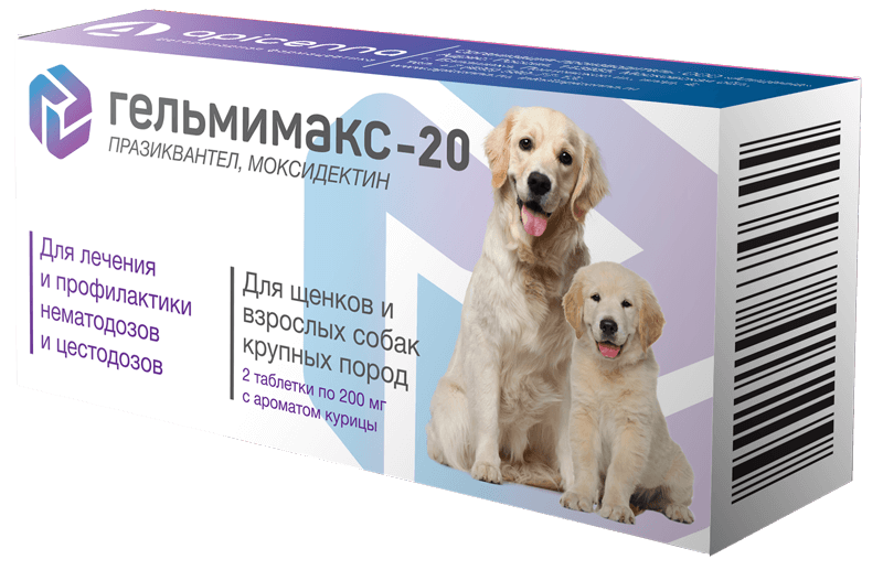 Магизоо Ру Интернет Магазин Москва