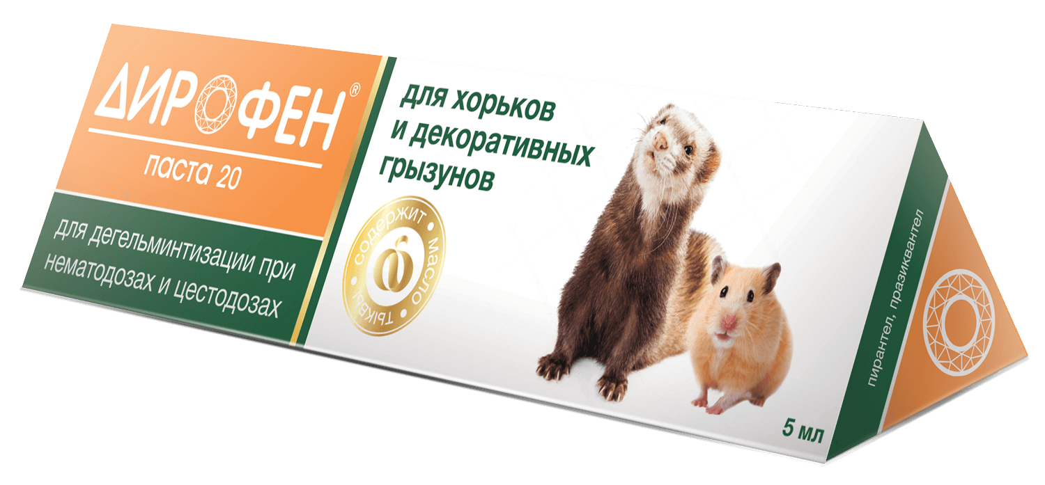 Катико Интернет Магазин Калининград